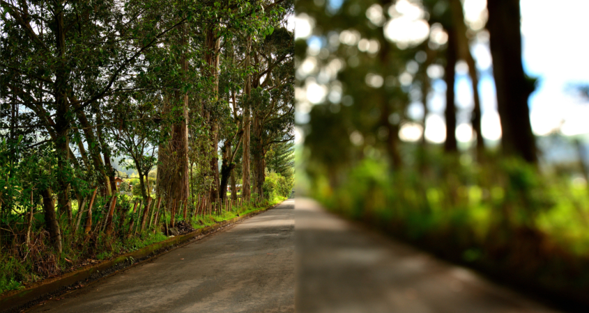 divided, focused and unfocused photography, as seen by a person with myopia